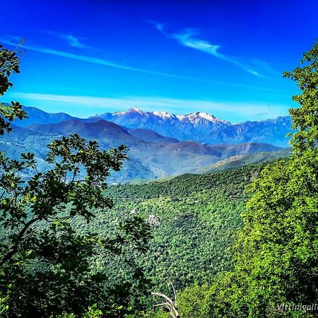 Nuits Magiques Au Village Entre Mer Et Montagnes Bigorno Экстерьер фото
